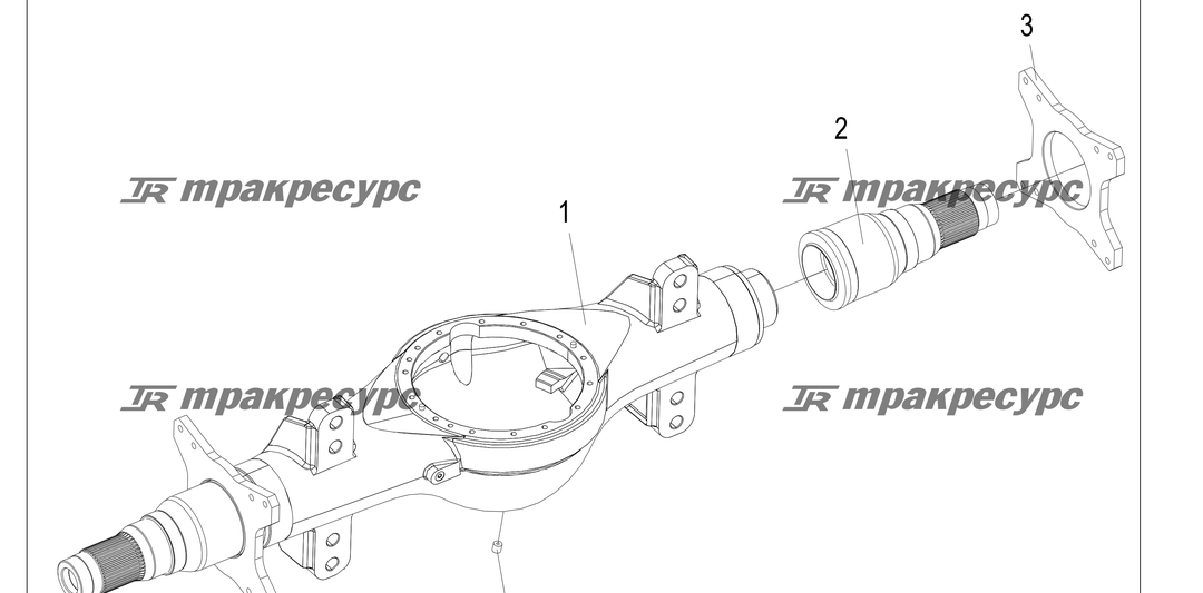 P000207.png