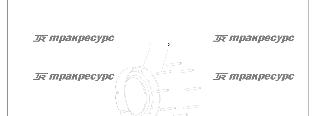 P000207.png