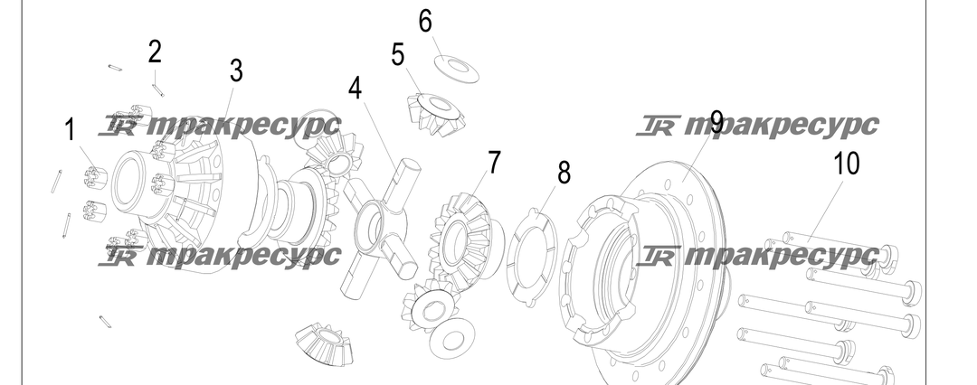 P000209.png