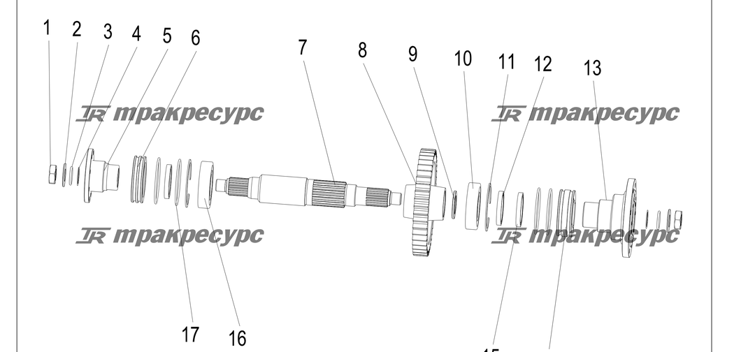 P000209.png