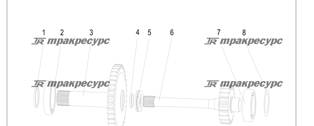 P000209.png
