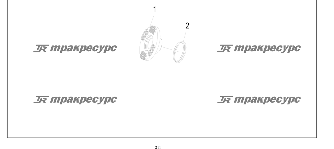 P000211.png