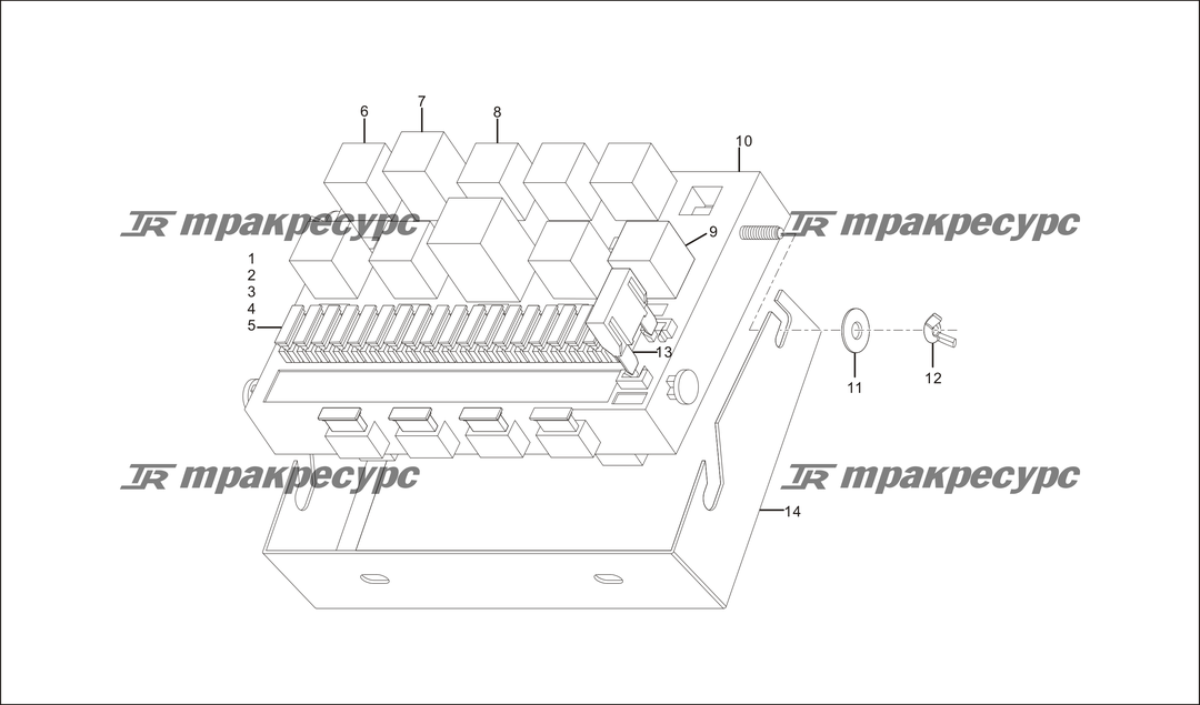 P000213.png