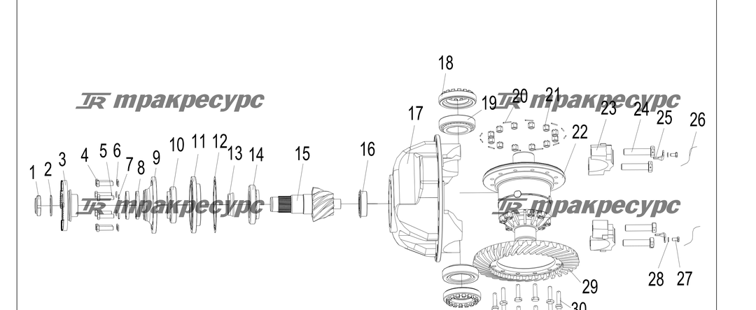 P000213.png