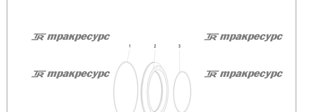 P000213.png