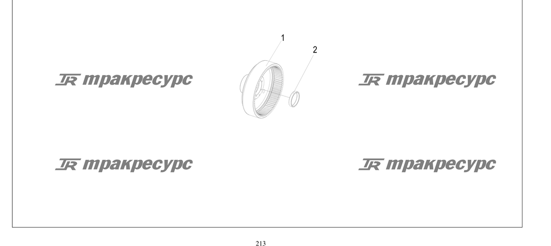 P000213.png