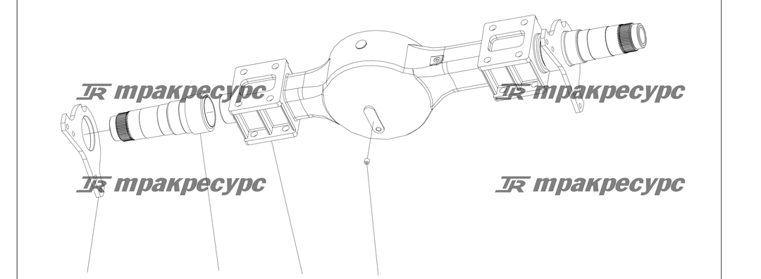 P000213.png