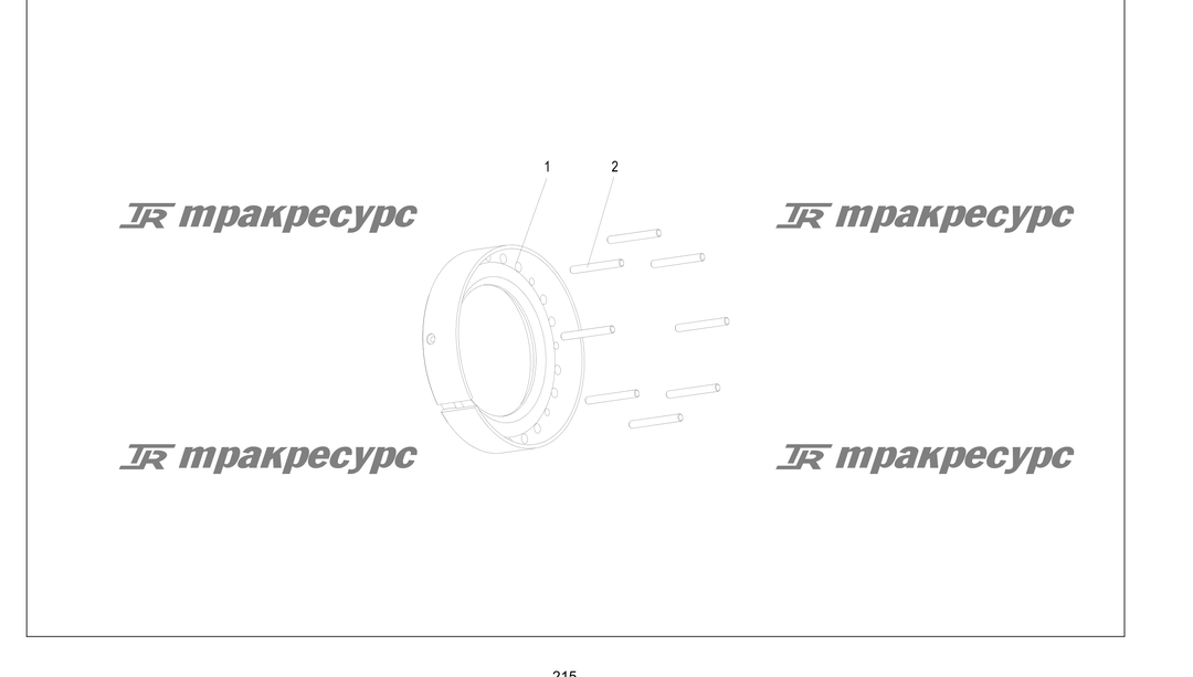 P000215.png