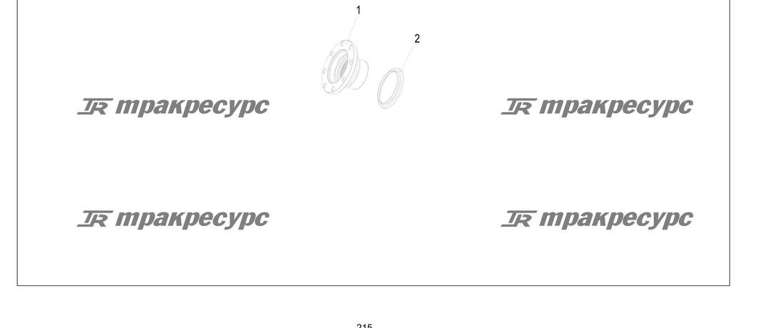 P000215.png