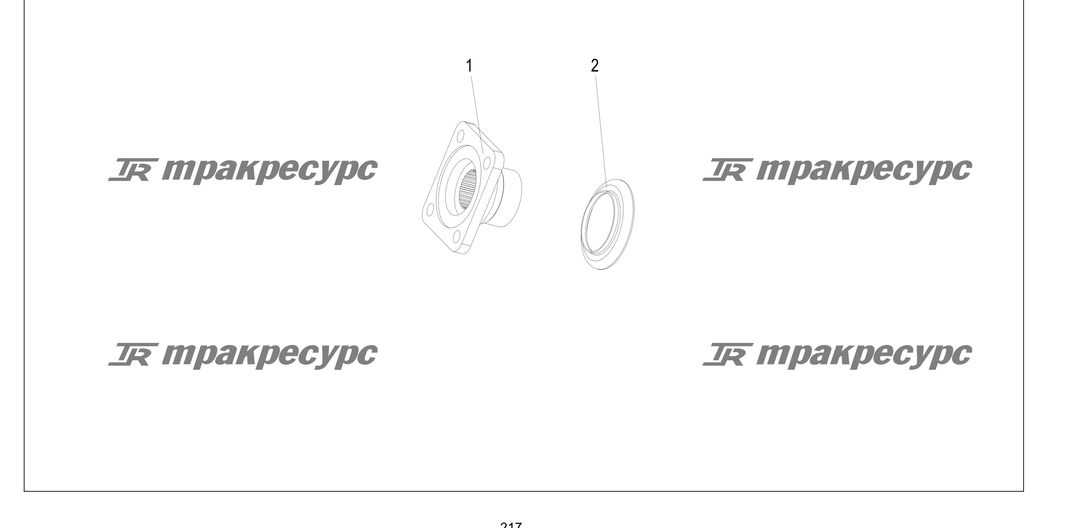 P000217.png
