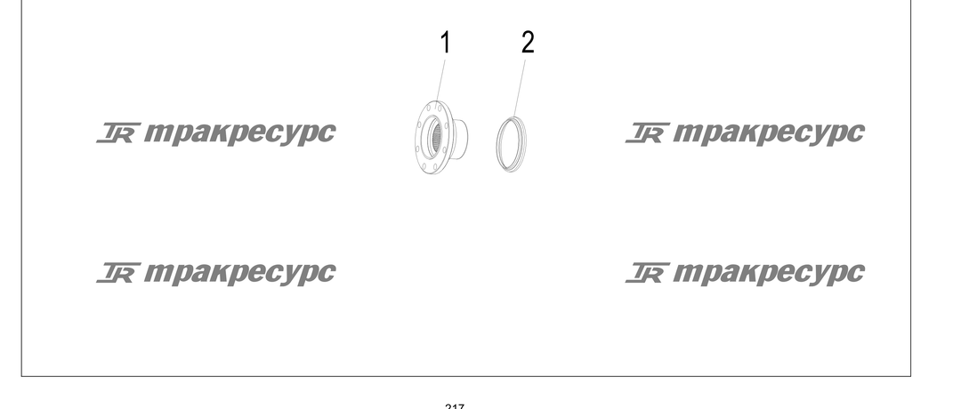 P000217.png