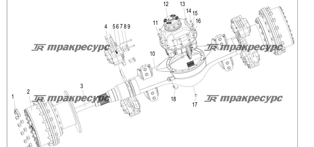 P000217.png