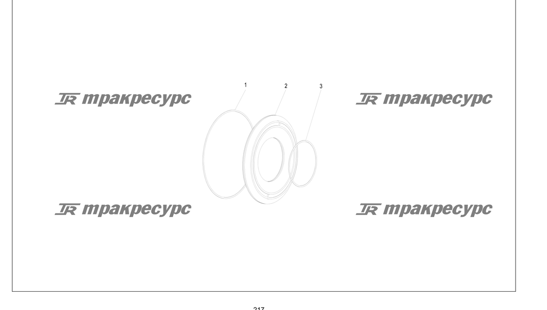 P000217.png