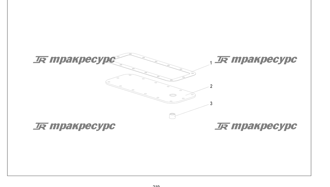 P000219.png