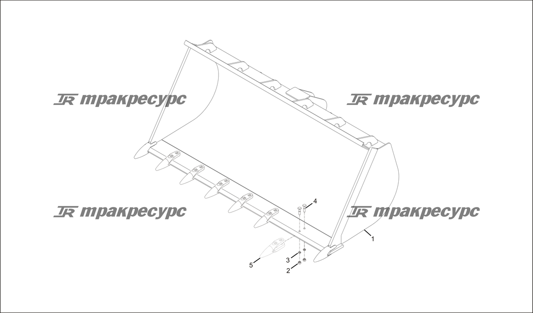 P000219.png