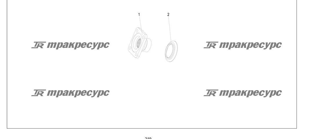 P000219.png