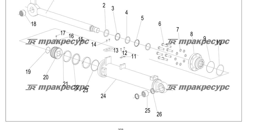 P000223.png