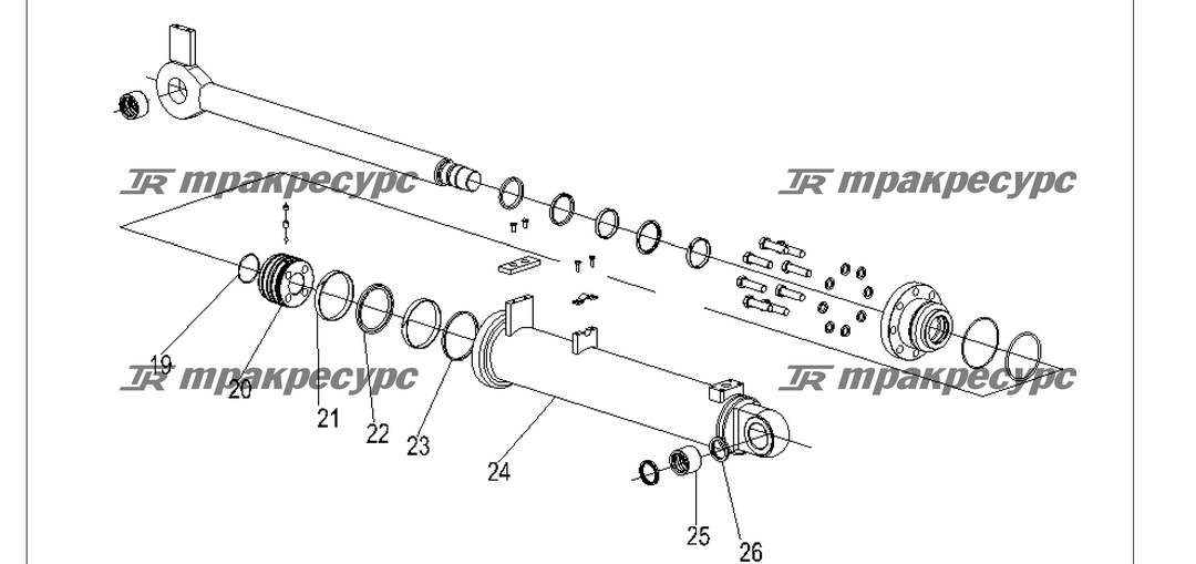P000229.png