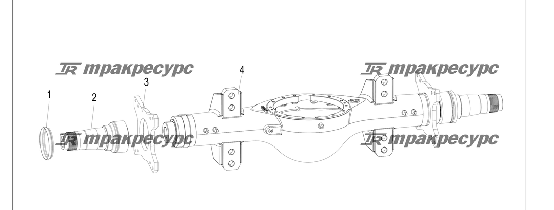 P000229.png