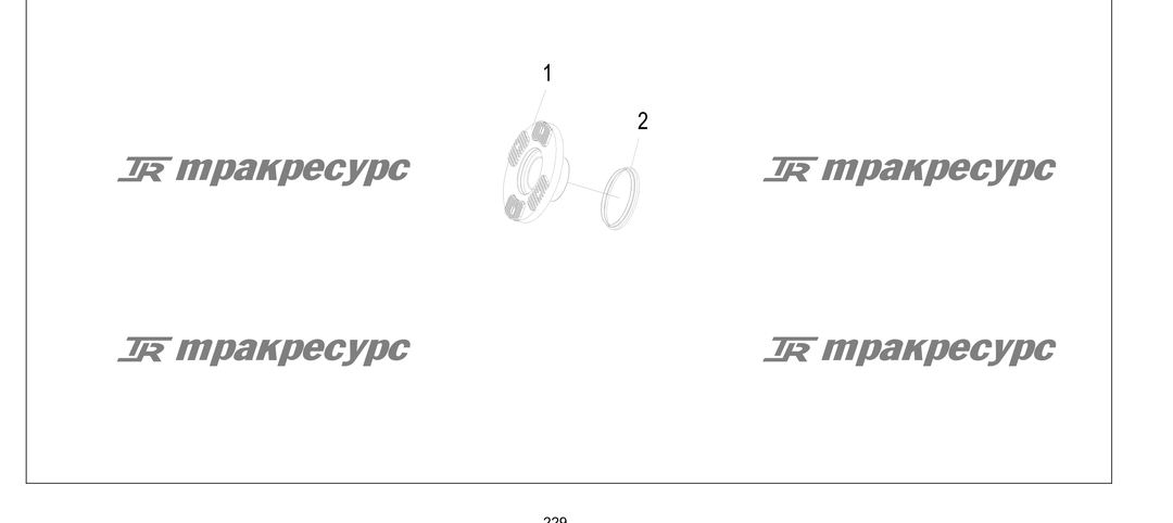 P000229.png