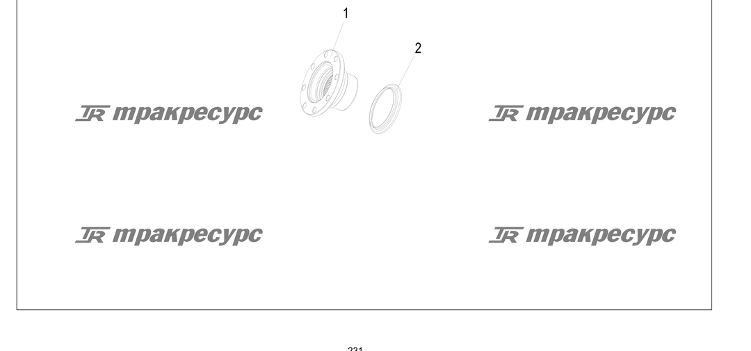 P000231.png