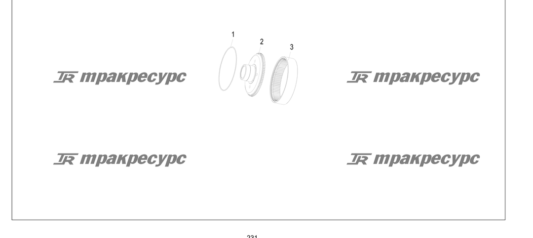 P000231.png