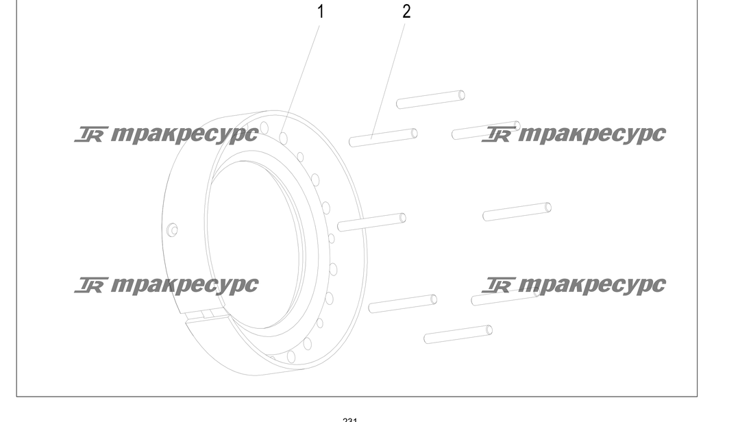 P000231.png