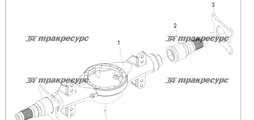 P000231.png