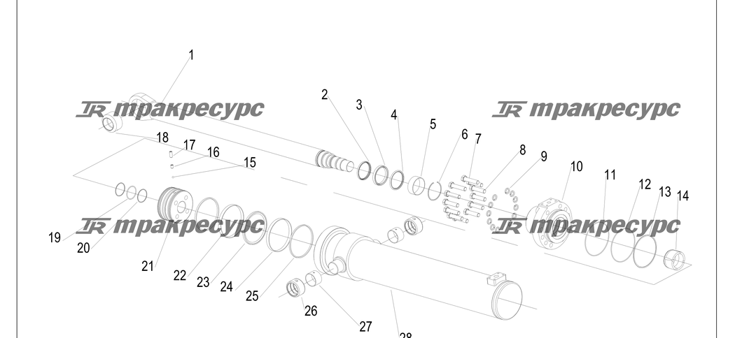 P000231.png