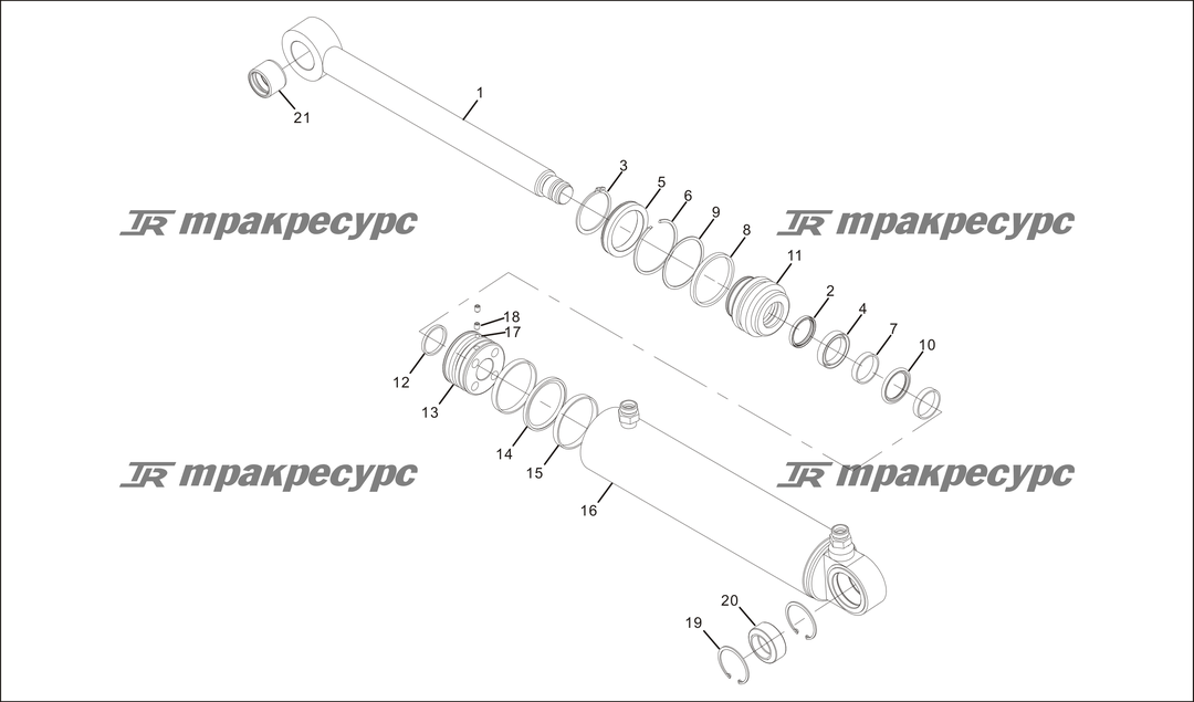 P000233.png
