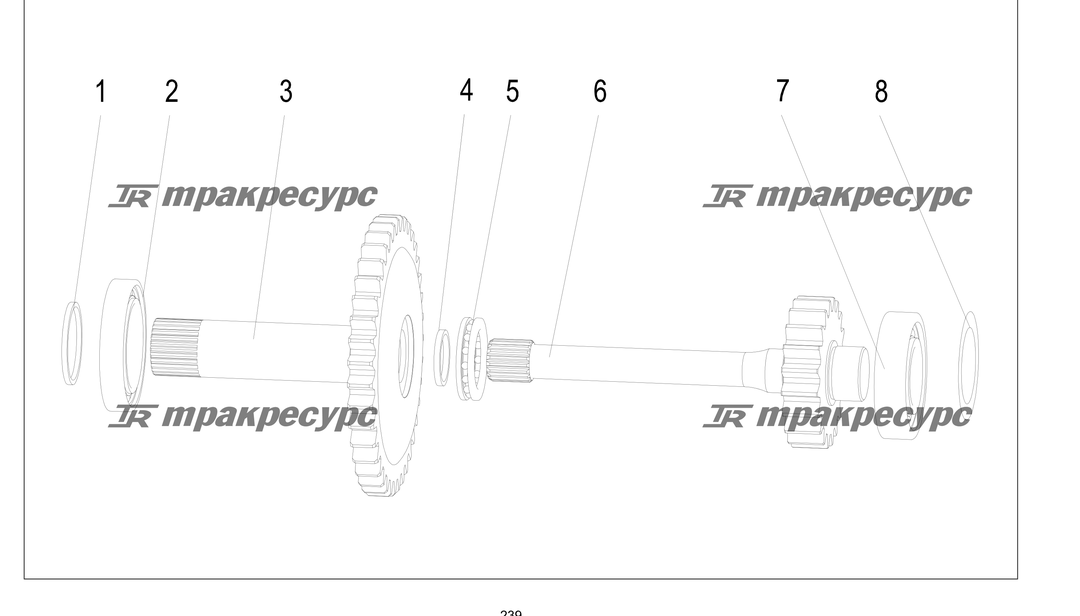 P000239.png