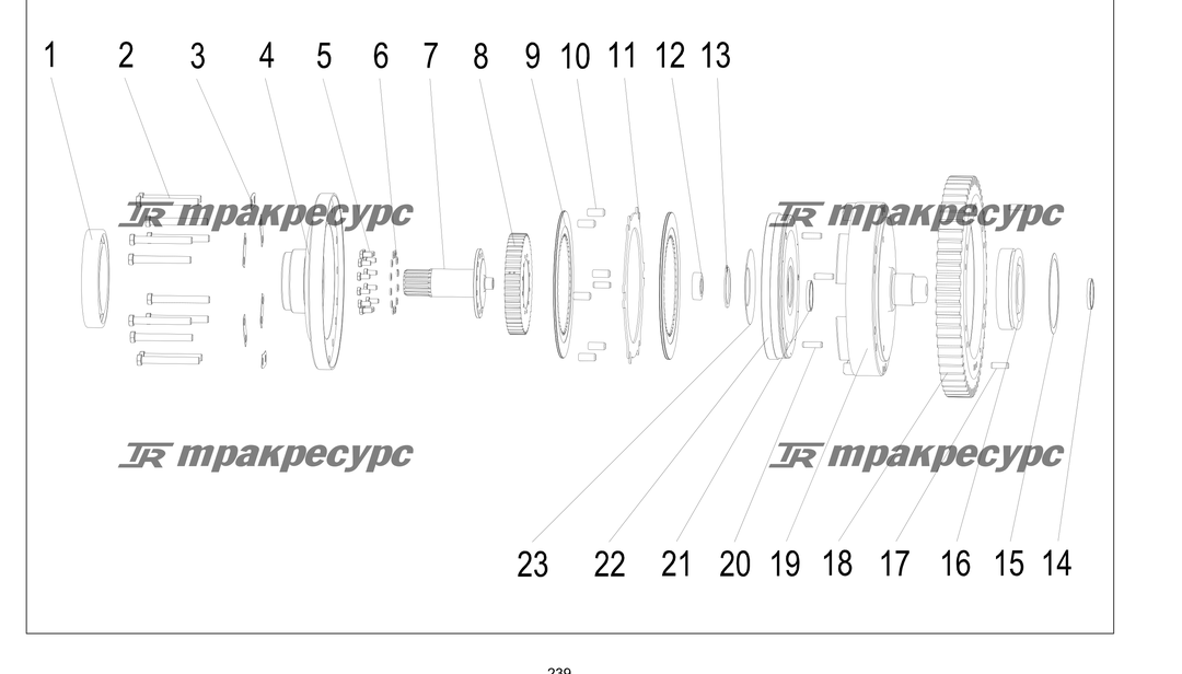 P000239.png