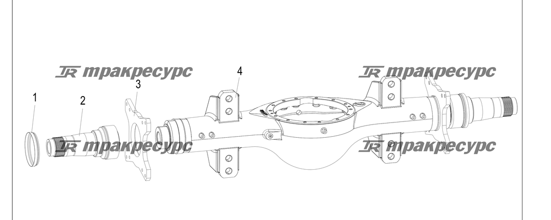P000241.png