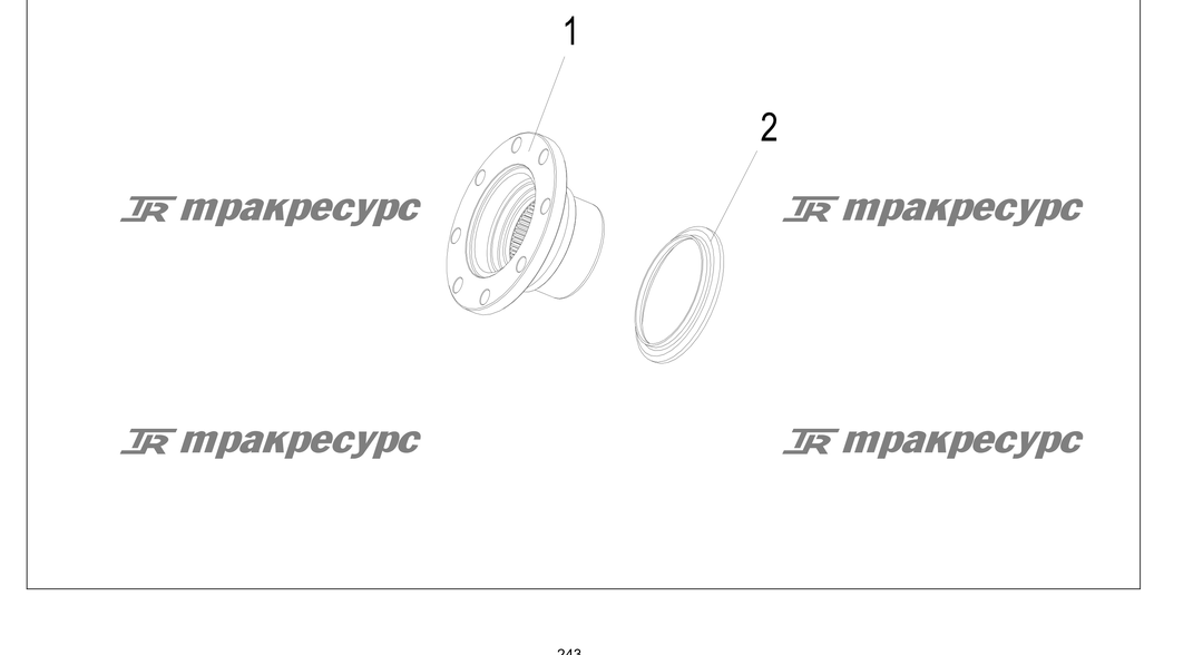 P000243.png