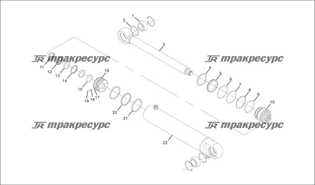 P000243.png