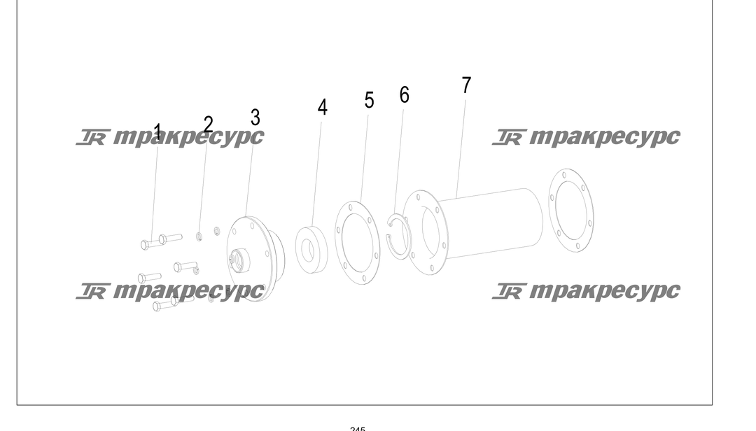 P000245.png