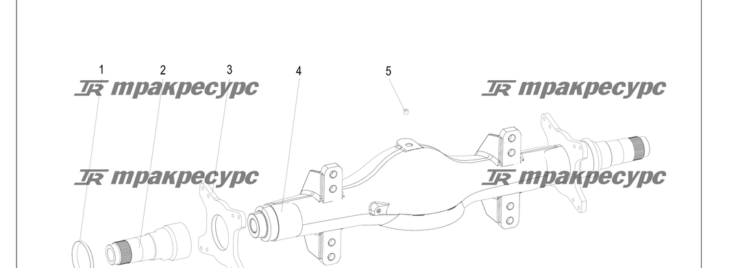 P000245.png
