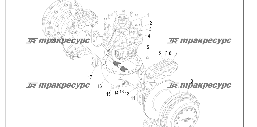 P000245.png