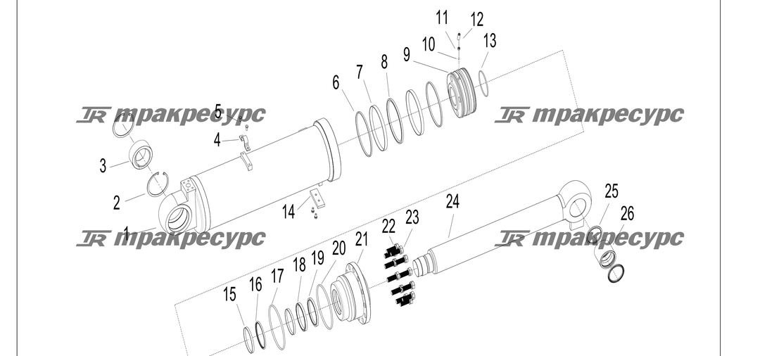 P000245.png