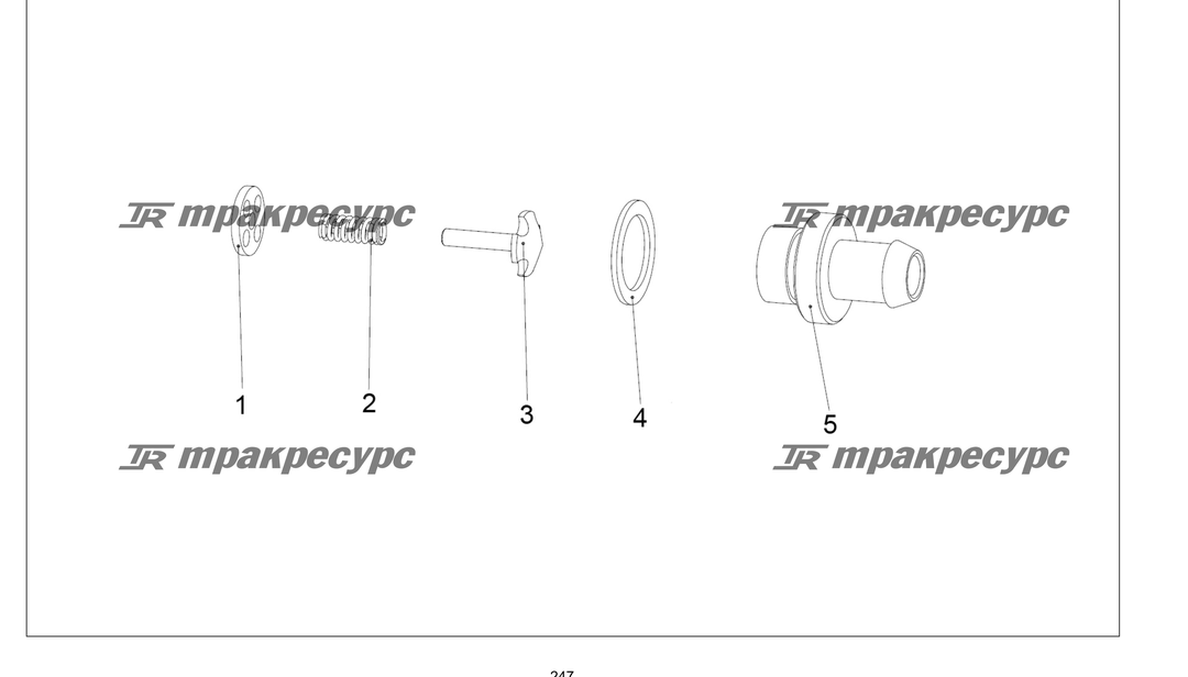 P000247.png