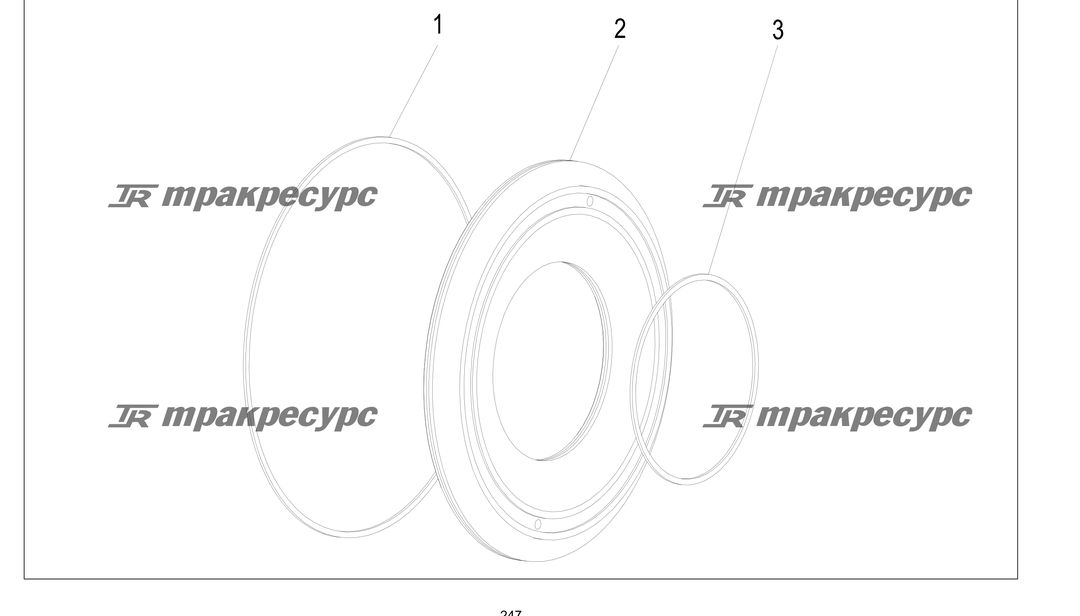 P000247.png