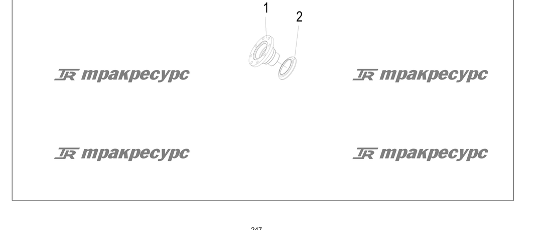 P000247.png