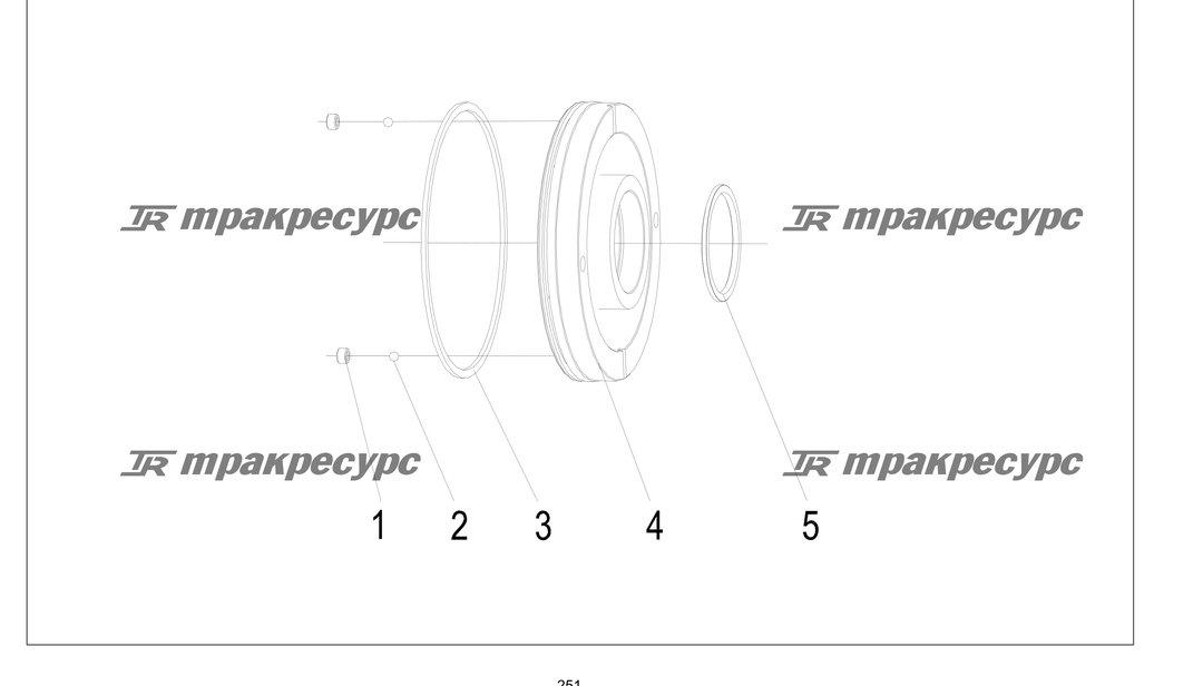 P000251.png