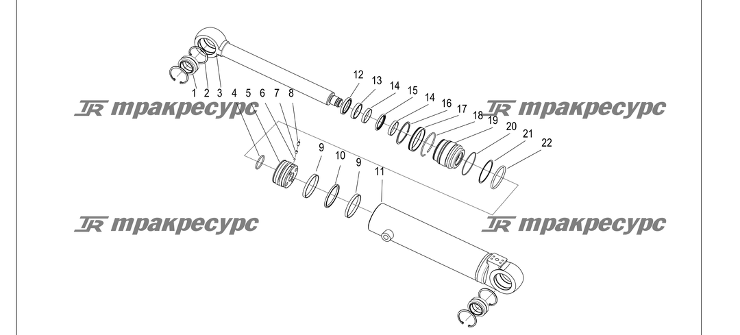 P000253.png