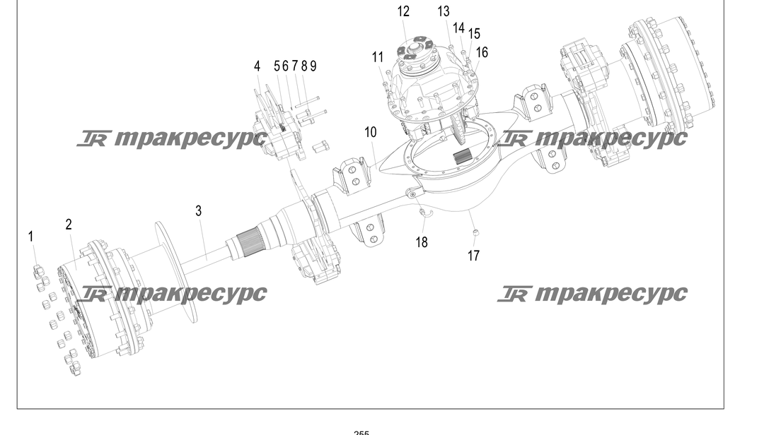 P000255.png