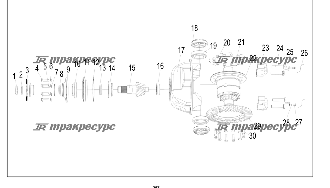 P000257.png