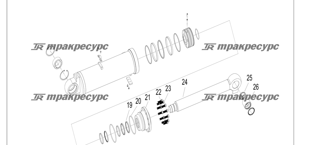 P000259.png
