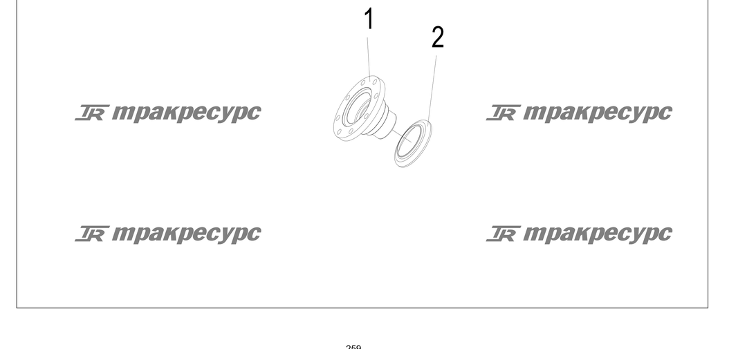 P000259.png