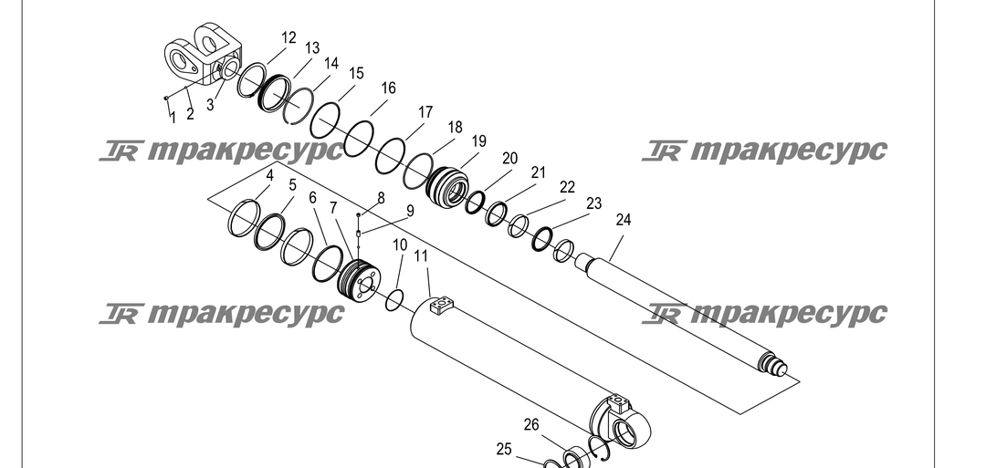 P000265.png