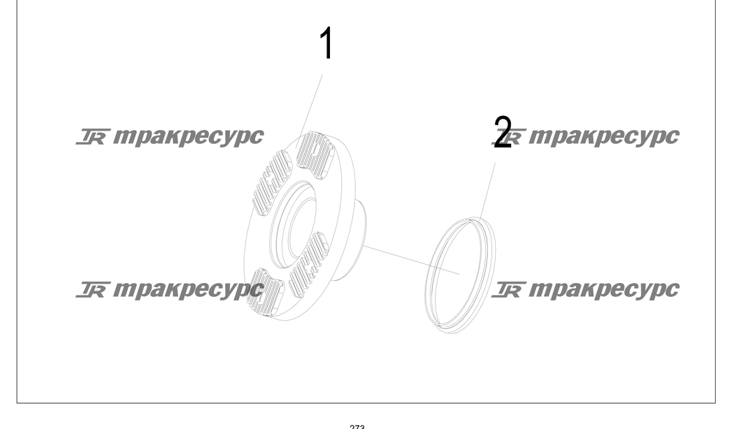 P000273.png